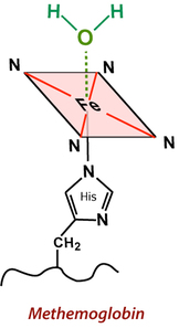 aquo-methemoglobin