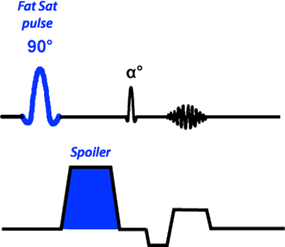 CHESS/Fat-Sat Pulses