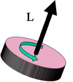 Angular momentum MRI