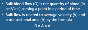 Blood flow definition